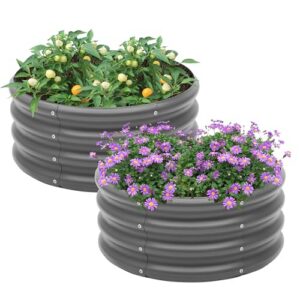 2-Pack 2x1ft Galvanized Raised Garden Bed, Outdoor Planter Bed, Metal Planter Box for Gardening and Planting