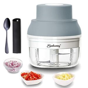 Electric Garlic Chopper Mini, Electric Garlic Masher Crusher, Food Processor Small with Garlic Peeler And Spoon, 100ML, Gray