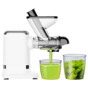 GVODE Electric Cold Press Juicer, Masticating Juicer with Dual Feed Chute