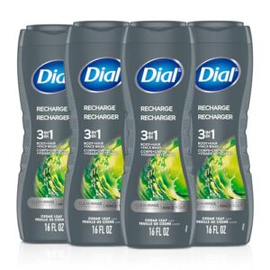 Dial Men 3 in 1 Body, Hair and Face Wash, Recharge, 16 fl oz, 4 count