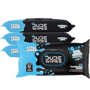 LiL' DUDE Wipes Flushable Potty Training Water Wipes, Unscented, 168 Count