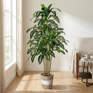 LuceAlberi Artificial Dracaena Tree 5FT Tall Fake Plant with Planter&Basket | Realistic Faux Yucca Floor Plant in Pot, Fake Trees Floor Plant Indoor for Home Decor, Office, Living Room, Entryway