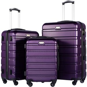 Coolife Luggage Set, 3 Piece Lightweight Durable Hardshell, Purple | Suitcase Set with 360° Spinner Wheels, TSA-approved Lock, Checked Family Travel, 20/24/28 Inch
