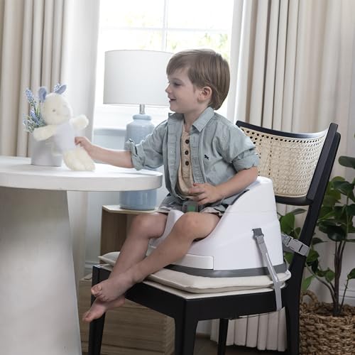 Ingenuity Baby Base 2-in-1 Booster Feeding and Floor Seat with Self-Storing Tray - Night Sky - Image 14